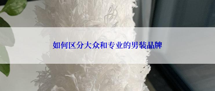 如何区分大众和专业的男装品牌