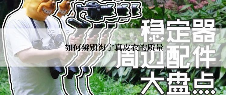 如何辨别海宁真皮衣的质量