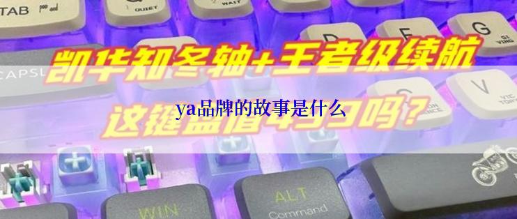  ya品牌的故事是什么