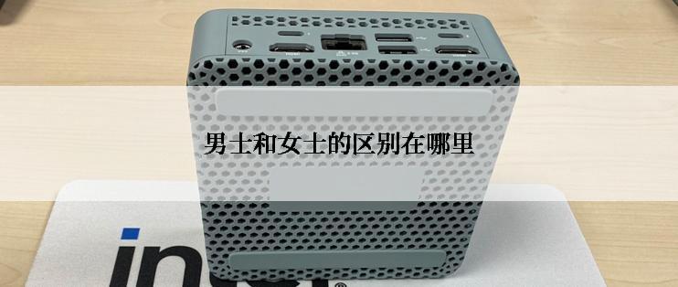 男士和女士的区别在哪里