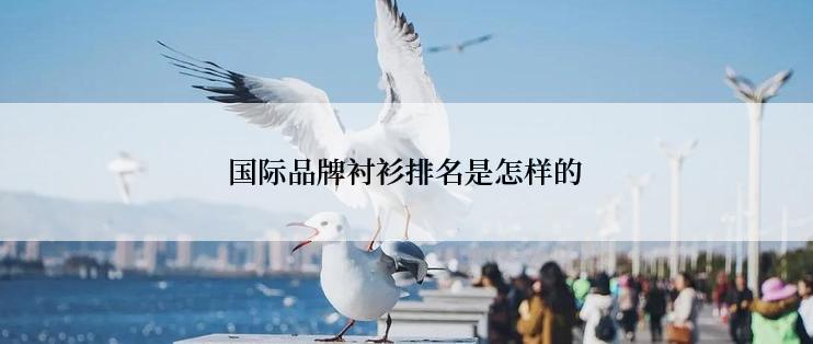 国际品牌衬衫排名是怎样的