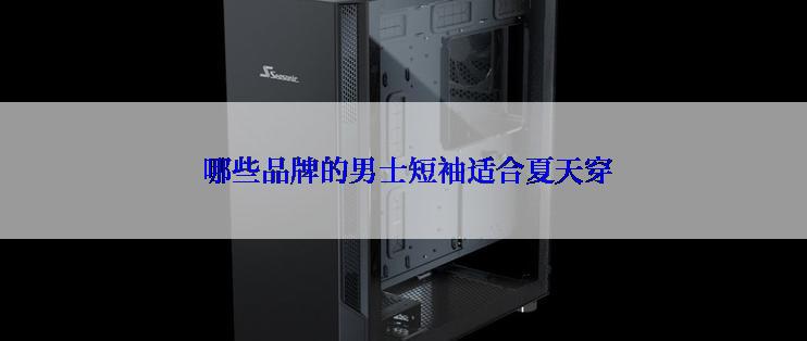  哪些品牌的男士短袖适合夏天穿