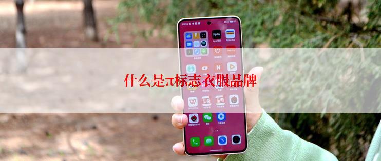 什么是π标志衣服品牌