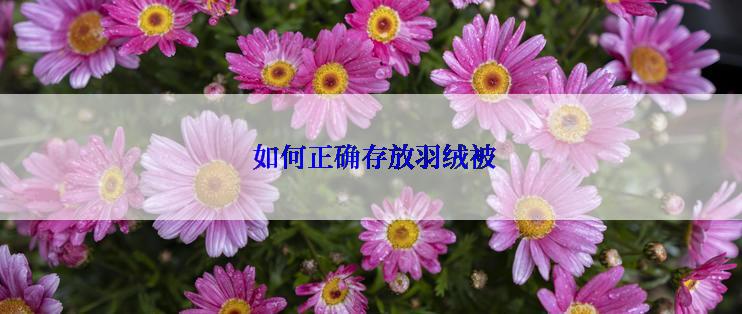  如何正确存放羽绒被