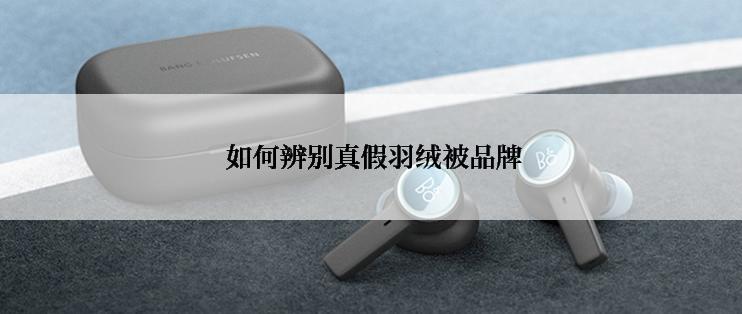  如何辨别真假羽绒被品牌