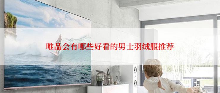 唯品会有哪些好看的男士羽绒服推荐