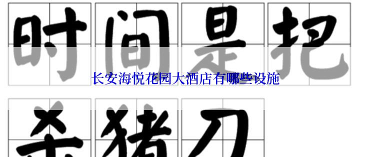 长安海悦花园大酒店有哪些设施