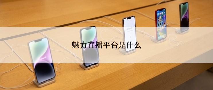 魅力直播平台是什么