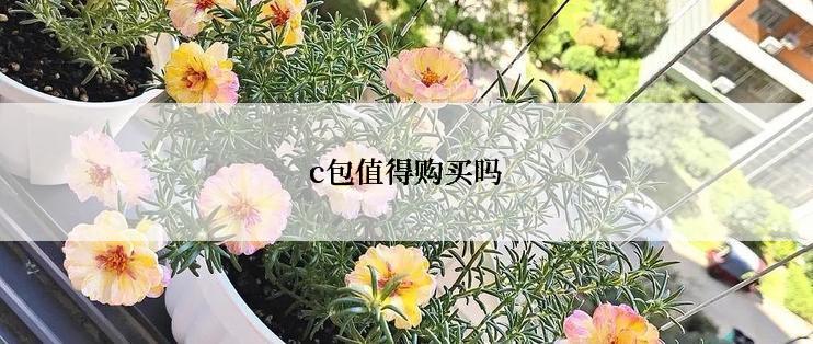 c包值得购买吗