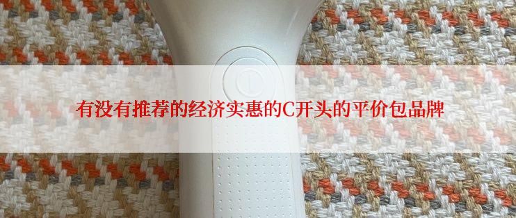  有没有推荐的经济实惠的C开头的平价包品牌