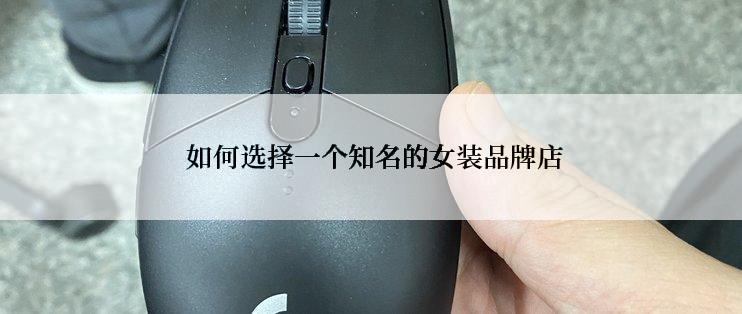  如何选择一个知名的女装品牌店