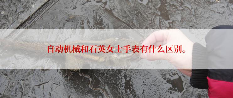 自动机械和石英女士手表有什么区别。