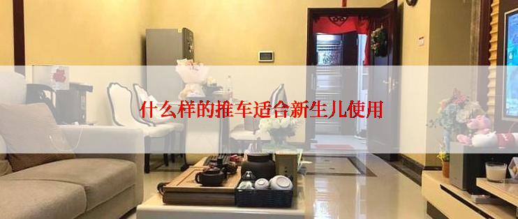  什么样的推车适合新生儿使用