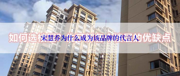 宋慧乔为什么成为该品牌的代言人