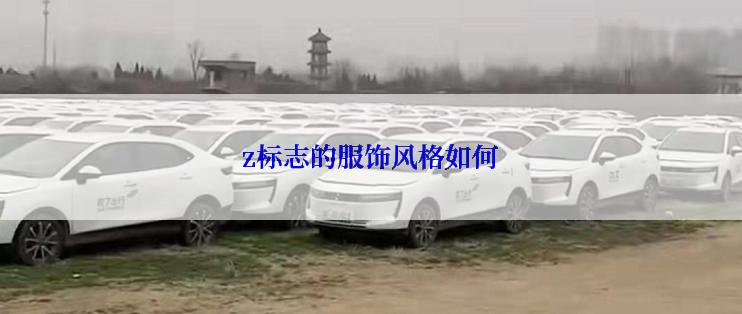 z标志的服饰风格如何