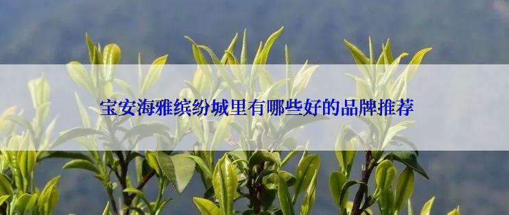  宝安海雅缤纷城里有哪些好的品牌推荐