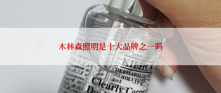 木林森照明是十大品牌之一吗