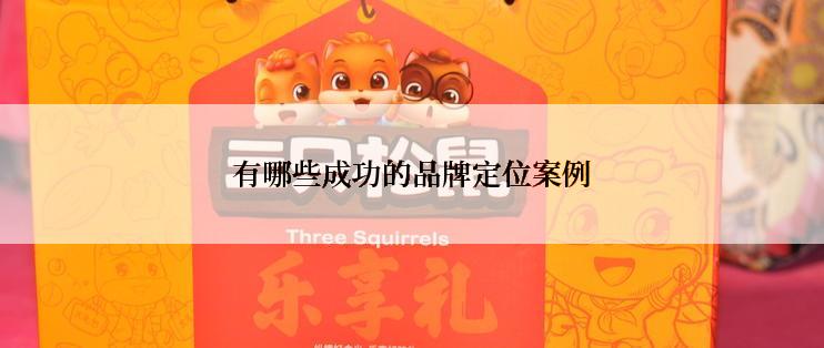有哪些成功的品牌定位案例