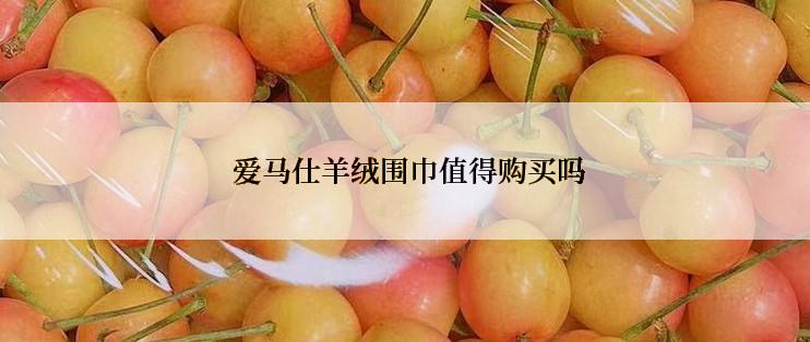 爱马仕羊绒围巾值得购买吗