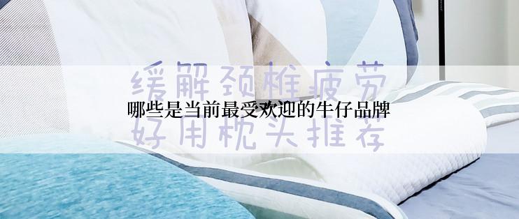 哪些是当前最受欢迎的牛仔品牌