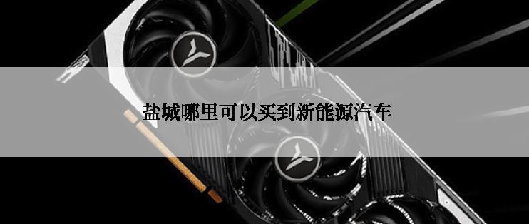  盐城哪里可以买到新能源汽车