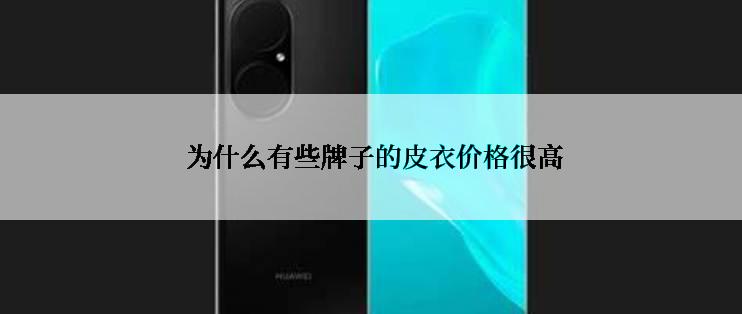  为什么有些牌子的皮衣价格很高