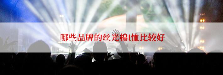  哪些品牌的丝光棉t恤比较好