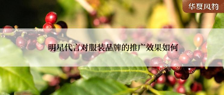 明星代言对服装品牌的推广效果如何