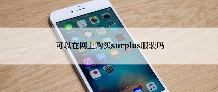  可以在网上购买surplus服装吗