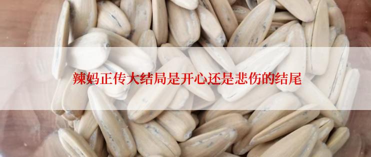  辣妈正传大结局是开心还是悲伤的结尾