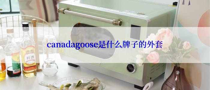 canadagoose是什么牌子的外套