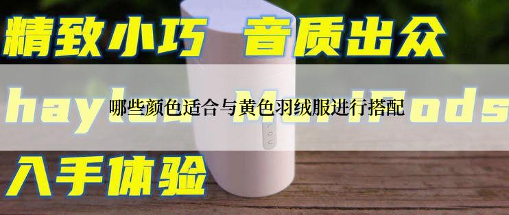  哪些颜色适合与黄色羽绒服进行搭配