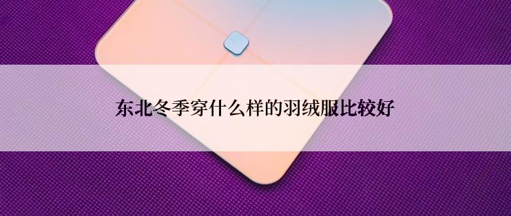 东北冬季穿什么样的羽绒服比较好