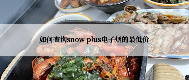 如何查询snow plus电子烟的最低价