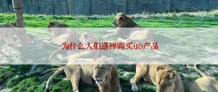  为什么人们选择购买uo产品
