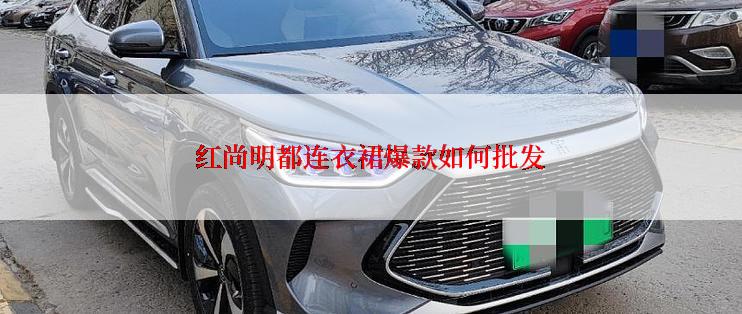 红尚明都连衣裙爆款如何批发