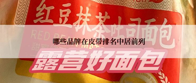  哪些品牌在皮带排名中居前列
