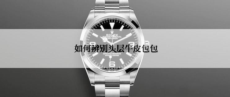  如何辨别头层牛皮包包