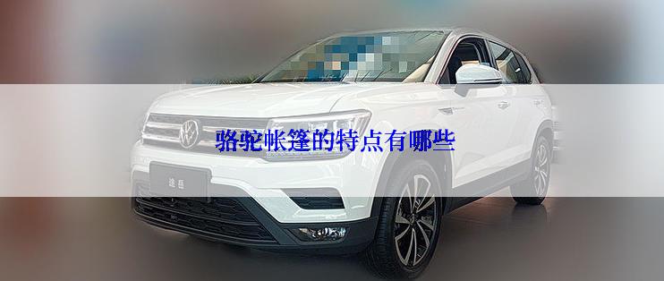  骆驼帐篷的特点有哪些