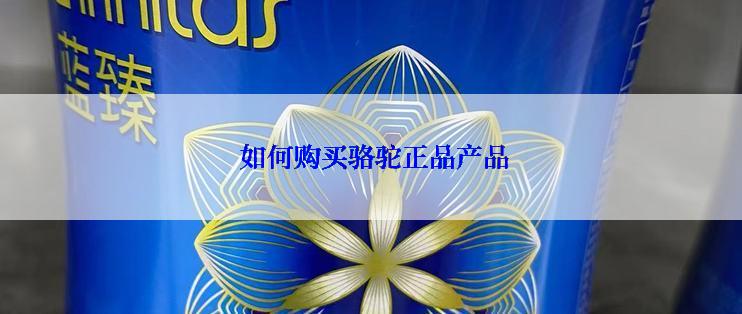  如何购买骆驼正品产品