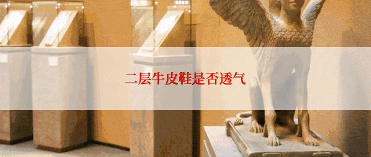 二层牛皮鞋是否透气