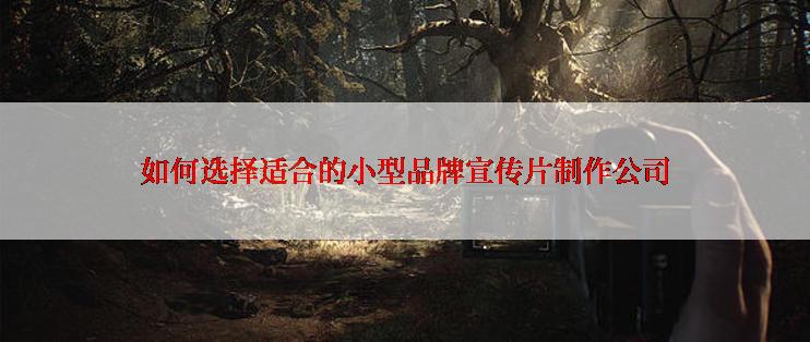 如何选择适合的小型品牌宣传片制作公司