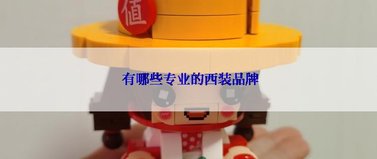  有哪些专业的西装品牌