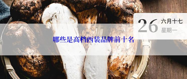 哪些是高档西装品牌前十名