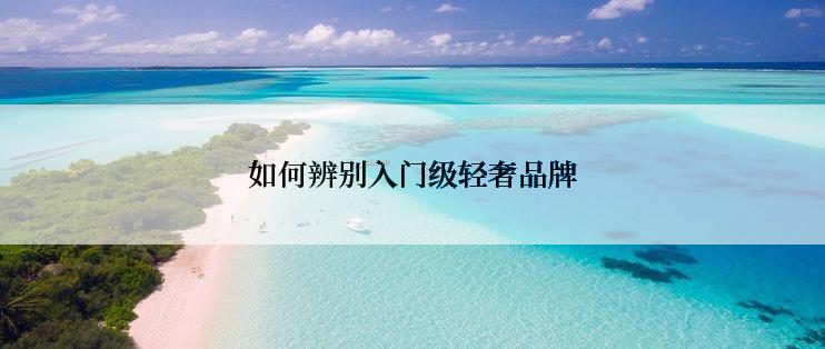 如何辨别入门级轻奢品牌