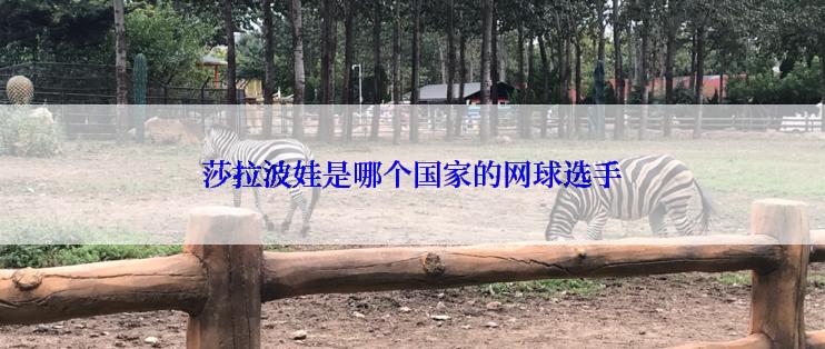 莎拉波娃是哪个国家的网球选手