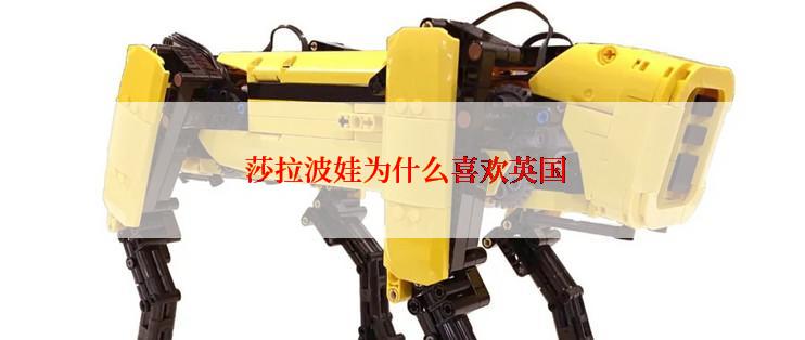  莎拉波娃为什么喜欢英国