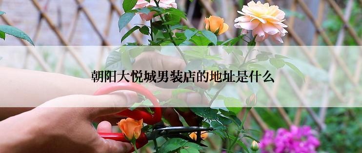  朝阳大悦城男装店的地址是什么