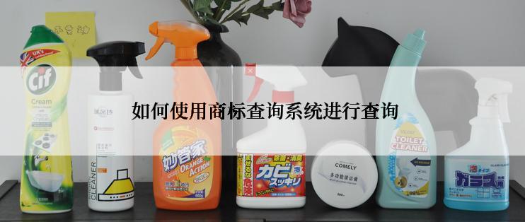 如何使用商标查询系统进行查询