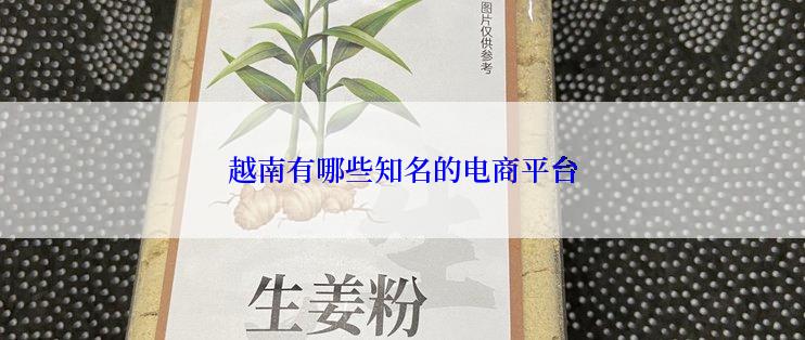 越南有哪些知名的电商平台